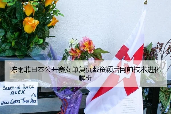 陈雨菲日本公开赛女单复仇戴资颖后网前技术进化解析